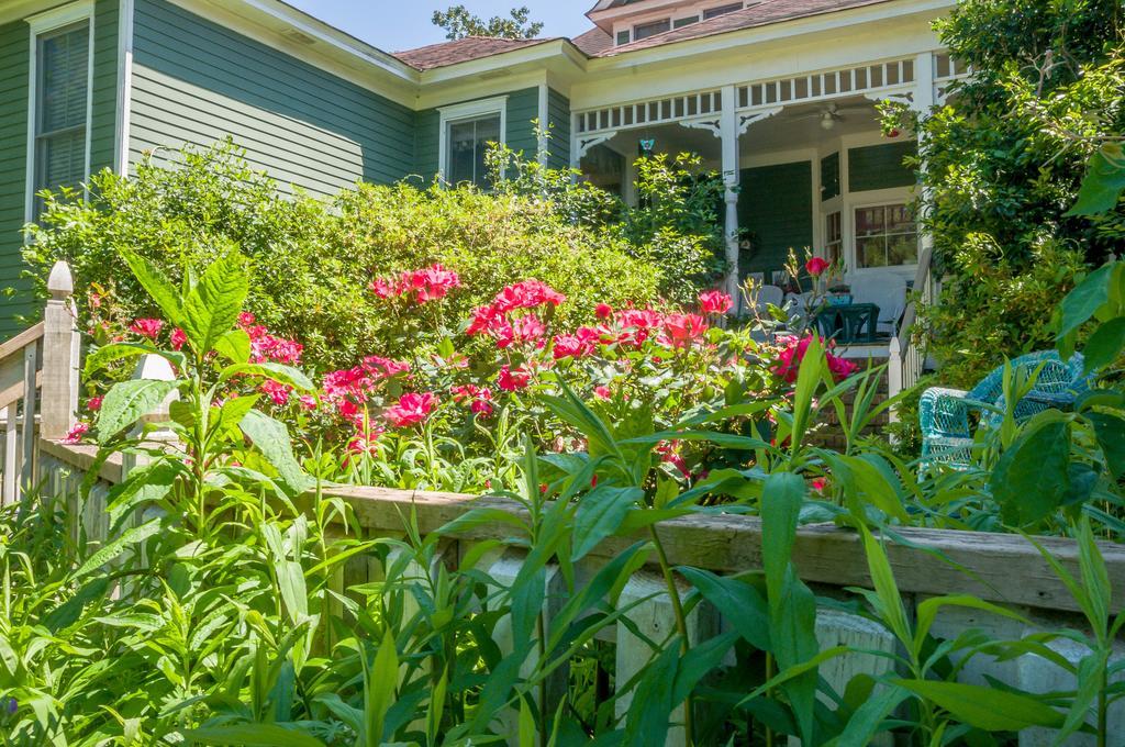 مبيت وإفطار Holly House Of Hamilton المظهر الخارجي الصورة