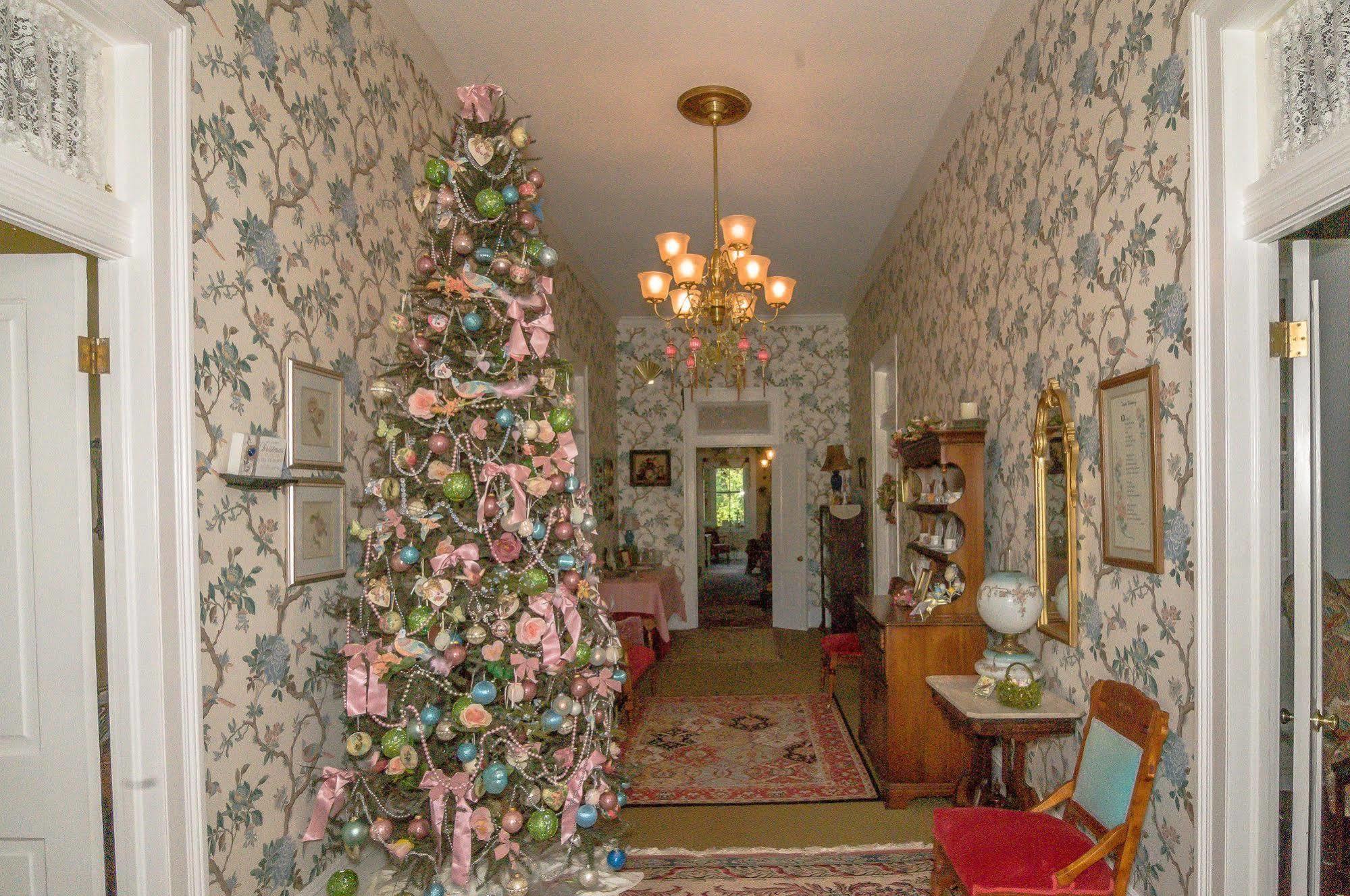مبيت وإفطار Holly House Of Hamilton المظهر الخارجي الصورة
